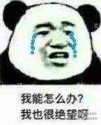 我能怎么办？我也很绝望呀