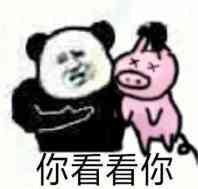 学你看看你