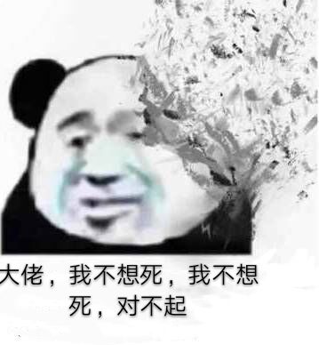 大佬，我不想死，我不想死，对不起