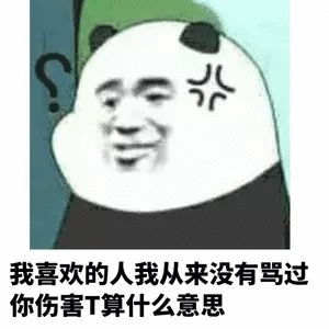 我喜欢的人，我从来没有骂过，你伤害Ｔ算什么意思