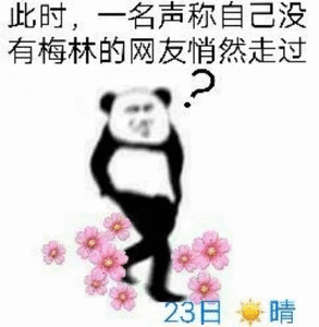 此时，一名声称自己没有梅林的网友，悄然走过