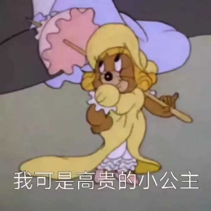 我可是高贵的小公主