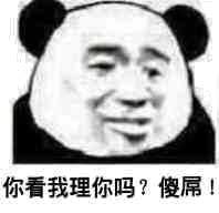 你看我理你吗？傻屌