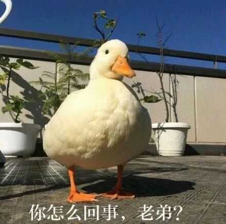 你怎么回事，老弟？