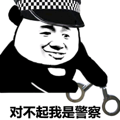 对不起我是警察