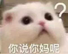 你说你妈呢