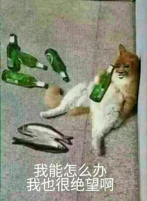 我能怎么办，我也很绝望啊