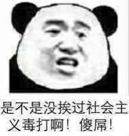 是不是没挨过社会主义毒打啊！傻屌！