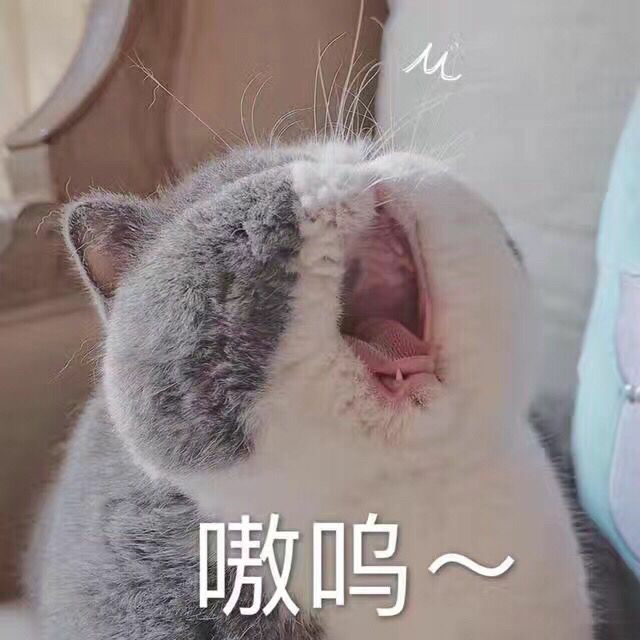 嗷呜~