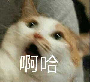 啊哈