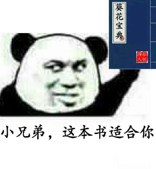 葵花宝典小兄弟，这本书适合你