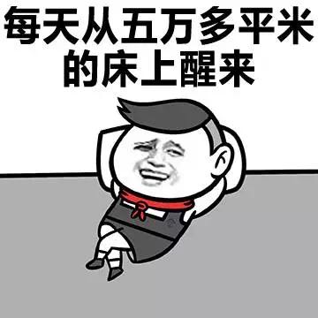 每天从五万多平米的床上醒来