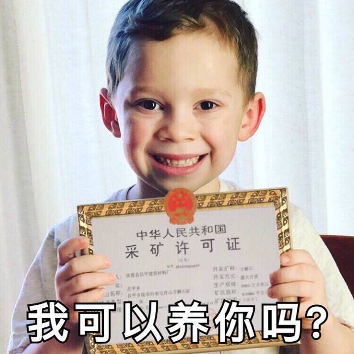 我可以养你吗？