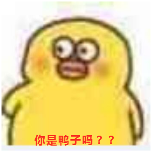 你是鸭子吗？？