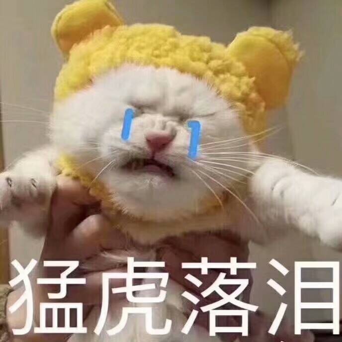 猛虎落泪