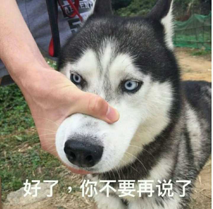 好了，你不要再说子