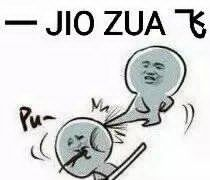 JIO ZUA 飞