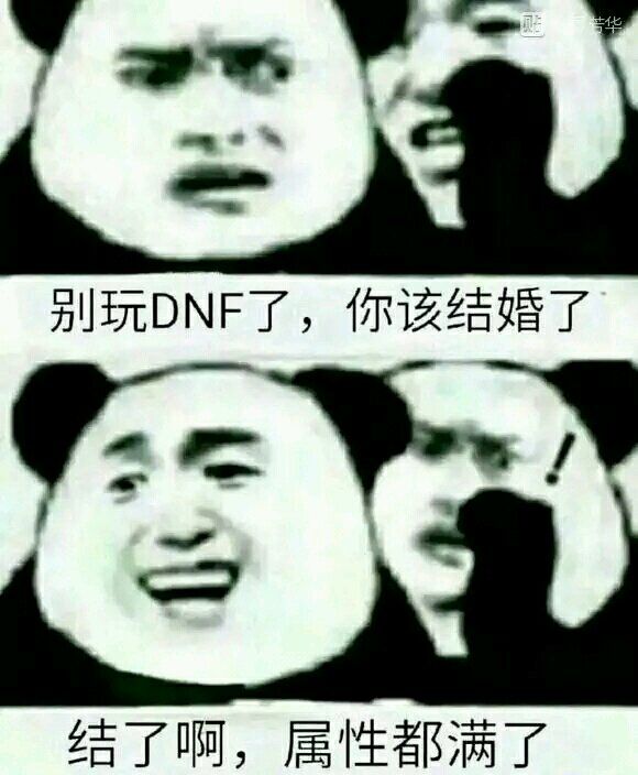 别玩DNF了，你该结婚了结了啊，属性都满了