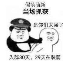 假装萌新