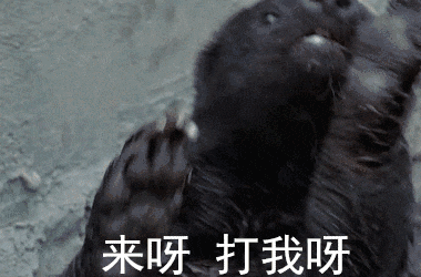 来呀打我呀