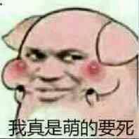 我真是萌的要死