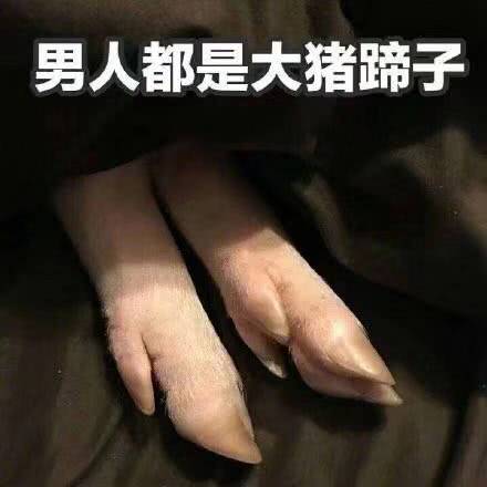 男人都是大猪蹄子