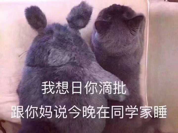 我想日你滴批，眼你妈说今晚在同学家睡