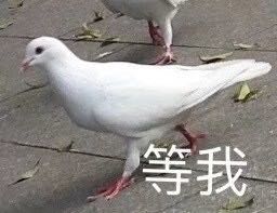 等我