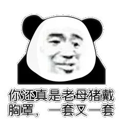 你真是老母猪戴胸，一套又一套