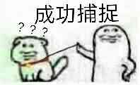 成功捕捉？？