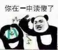 你在一中读傻了