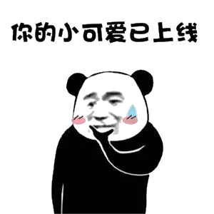 你的小可爱已上线