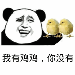 我有鸡鸡,你没有