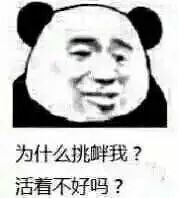 为什么挑衅我？活看不好吗？