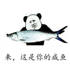 来，这是你的咸鱼