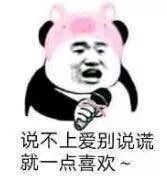 说不上爱别说谎，就一点喜欢~