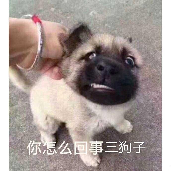 你怎么回事三狗子