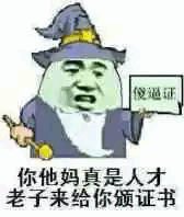 你他妈真是人才老子来给你颁证书