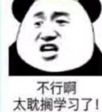 不行啊，太耽搁学习了