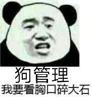 狗管理，我要看胸口碎大石