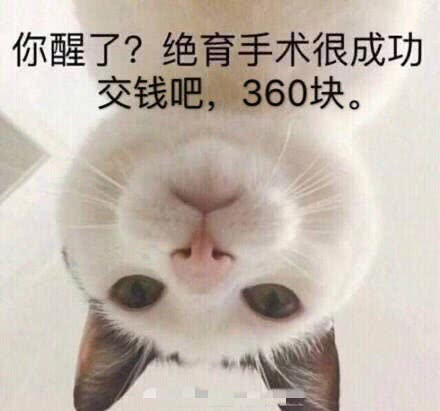 你醒了？绝育手术很成功交钱吧，360块。