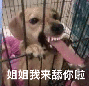 姐姐我来舔你啦