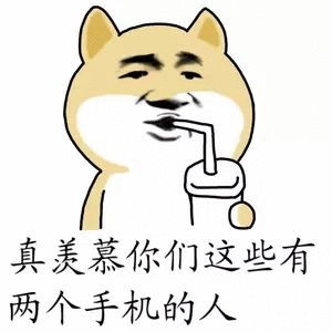 真美慕你们这些有两个手机的人