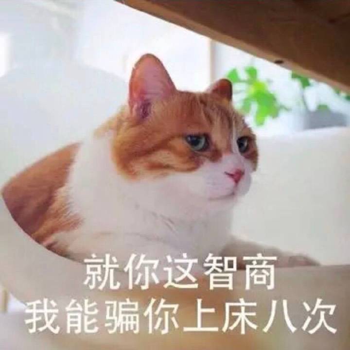 就你这智商，我能骗你上床八次