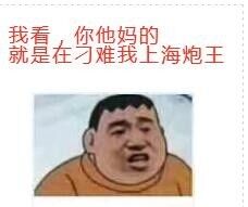 我看，你他妈的就是在刁难我上海炮王