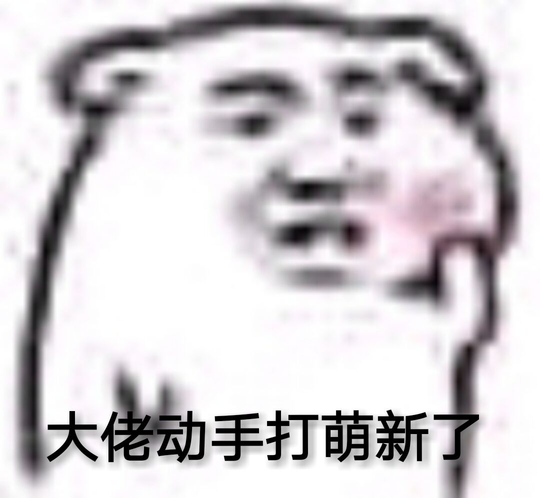 大佬动手打萌新