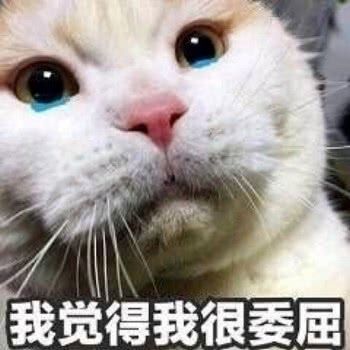 我觉得我很委屈