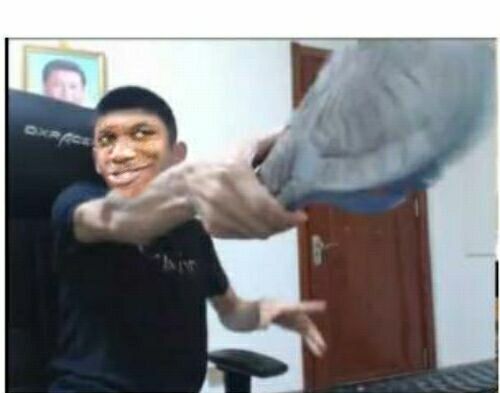 你他妈不要走