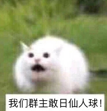 我们群主敢日仙人球！