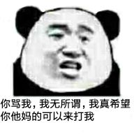 你骂我，我无所谓，我真希望你他妈的可以来打我